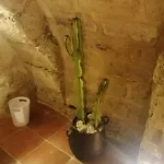 Guest house Domus Vacanze Civico Del Mare Castellammare del Golfo