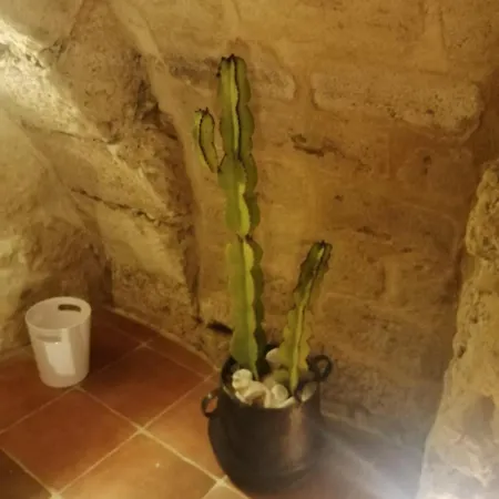 Πανσιόν Domus Vacanze Civico Del Mare Castellammare del Golfo